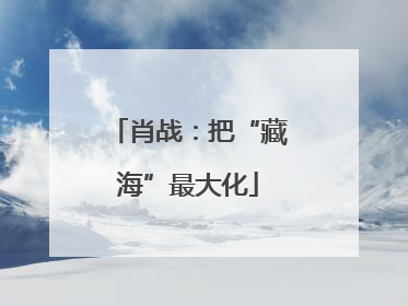 肖战：把“藏海”最大化