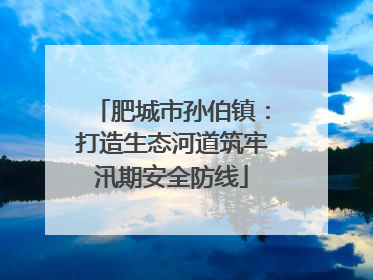 肥城市孙伯镇：打造生态河道筑牢汛期安全防线