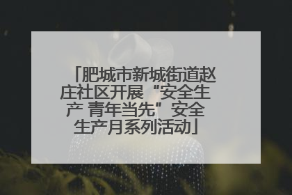 肥城市新城街道赵庄社区开展“安全生产 青年当先”安全生产月系列活动