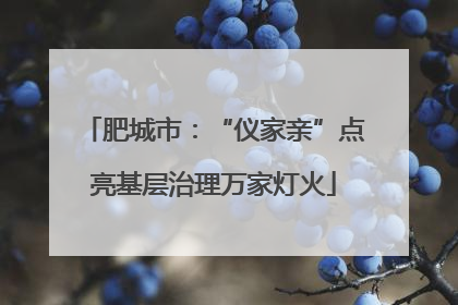 肥城市：“仪家亲”点亮基层治理万家灯火