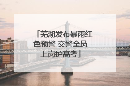 芜湖发布暴雨红色预警 交警全员上岗护高考