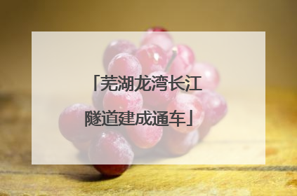芜湖龙湾长江隧道建成通车