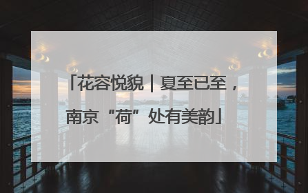 花容悦貌｜夏至已至，南京“荷”处有美韵