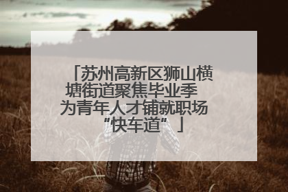 苏州高新区狮山横塘街道聚焦毕业季 为青年人才铺就职场“快车道”