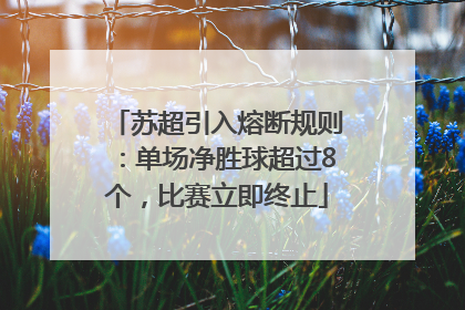 苏超引入熔断规则：单场净胜球超过8个，比赛立即终止