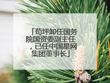 苟坪卸任国务院国资委副主任，已任中国星网集团董事长