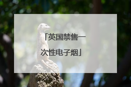 英国禁售一次性电子烟