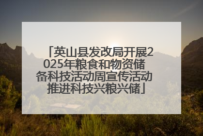英山县发改局开展2025年粮食和物资储备科技活动周宣传活动 推进科技兴粮兴储