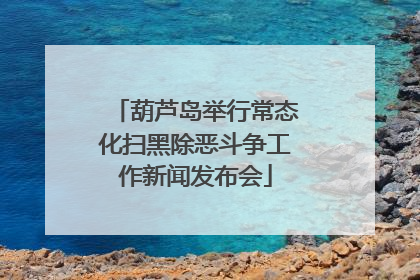 葫芦岛举行常态化扫黑除恶斗争工作新闻发布会