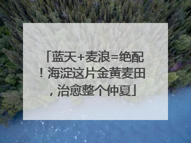 蓝天+麦浪=绝配！海淀这片金黄麦田，治愈整个仲夏