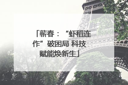 蕲春：“虾稻连作”破困局 科技赋能焕新生