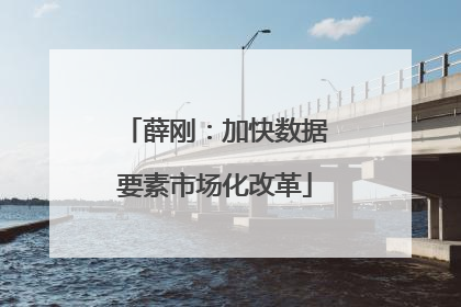 薛刚：加快数据要素市场化改革