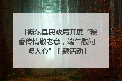 衡东县民政局开展“粽香传情敬老意，端午慰问暖人心”主题活动