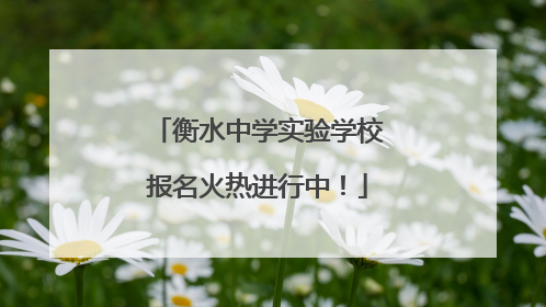 衡水中学实验学校报名火热进行中！