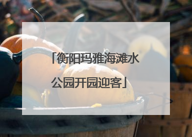 衡阳玛雅海滩水公园开园迎客