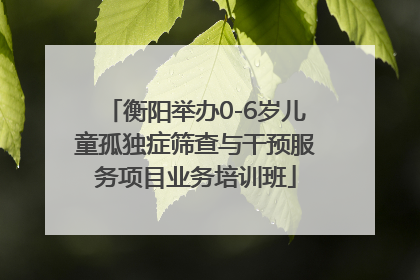衡阳举办0-6岁儿童孤独症筛查与干预服务项目业务培训班
