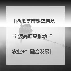 西瓜集市甜蜜启幕 宁波高塘岛推动“农业+”融合发展