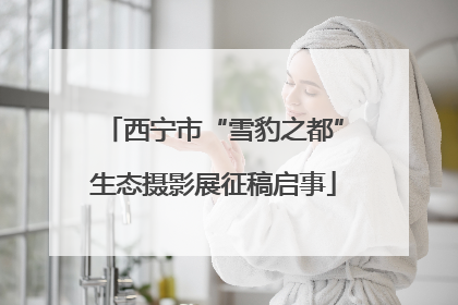 西宁市“雪豹之都”生态摄影展征稿启事