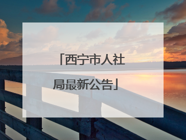 西宁市人社局最新公告