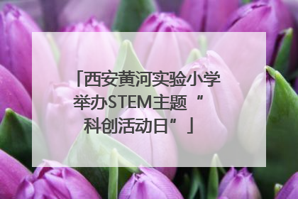 西安黄河实验小学举办STEM主题“科创活动日”