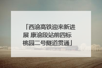 西渝高铁迎来新进展 康渝段站前四标桃园二号隧道贯通