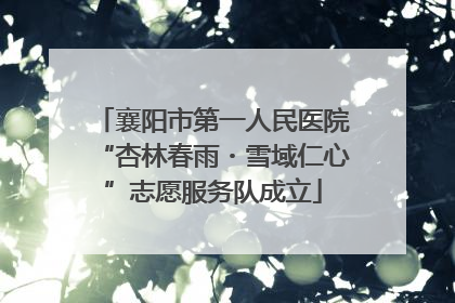 襄阳市第一人民医院“杏林春雨・雪域仁心”志愿服务队成立
