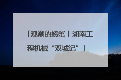 观潮的螃蟹丨湖南工程机械“双城记”
