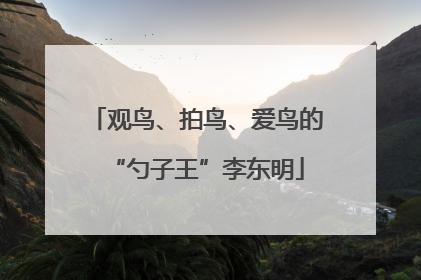 观鸟、拍鸟、爱鸟的“勺子王”李东明
