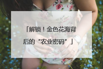 解锁！金色花海背后的“农业密码”