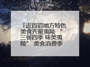 近百道地方特色美食齐聚夷陵 “三餐四季 味美夷陵” 美食消费季沸腾夏夜