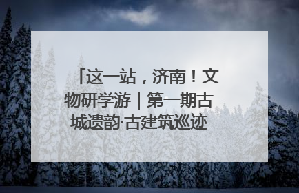 这一站，济南！文物研学游｜第一期古城遗韵·古建筑巡迹之旅圆满结束