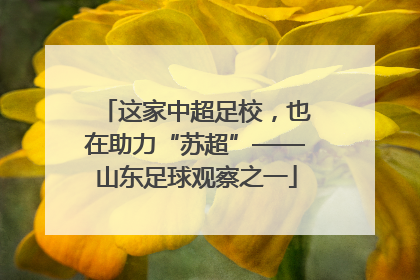 这家中超足校，也在助力“苏超”——山东足球观察之一