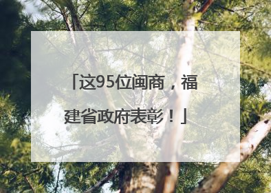 这95位闽商，福建省政府表彰！