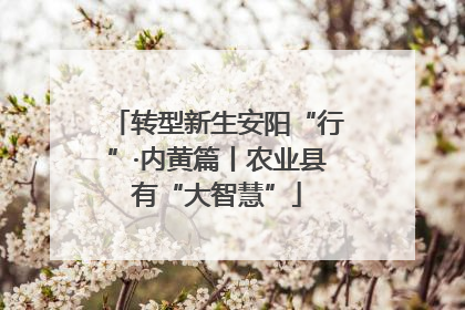 转型新生安阳“行”·内黄篇丨农业县有“大智慧”
