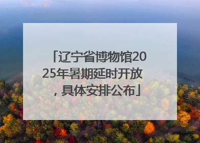辽宁省博物馆2025年暑期延时开放，具体安排公布