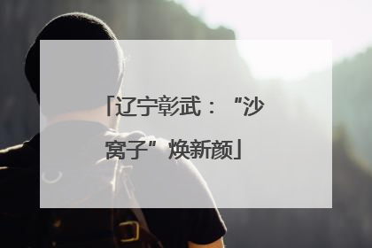 辽宁彰武：“沙窝子”焕新颜
