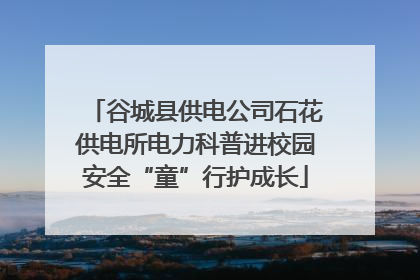 谷城县供电公司石花供电所电力科普进校园安全“童”行护成长