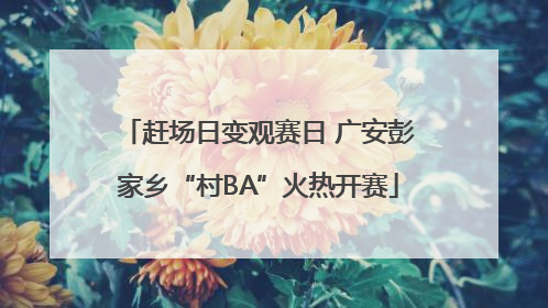 赶场日变观赛日 广安彭家乡“村BA”火热开赛