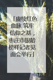 赓续红色血脉 筑牢信仰之基，枣庄市银龄榜样记者见面会举行