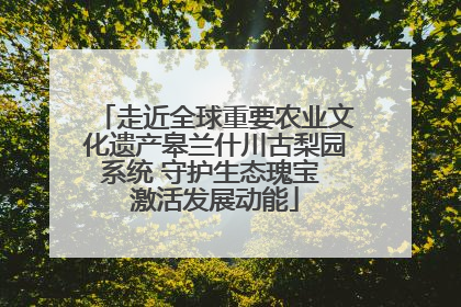 走近全球重要农业文化遗产皋兰什川古梨园系统 守护生态瑰宝 激活发展动能