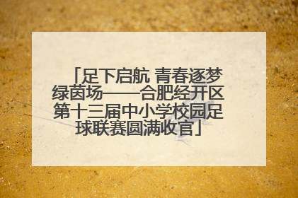 足下启航 青春逐梦绿茵场——合肥经开区第十三届中小学校园足球联赛圆满收官