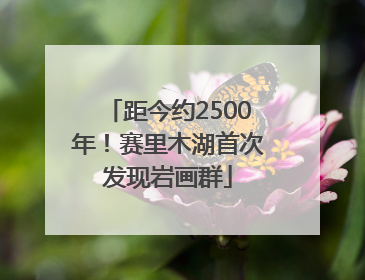 距今约2500年！赛里木湖首次发现岩画群