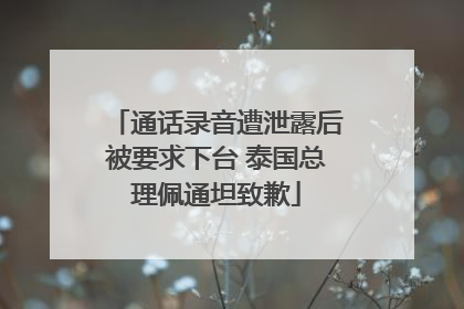 通话录音遭泄露后被要求下台 泰国总理佩通坦致歉