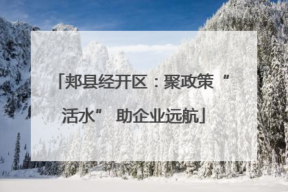 郏县经开区：聚政策“活水” 助企业远航