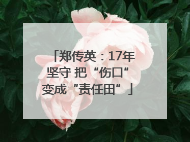 郑传英：17年坚守 把“伤口”变成“责任田”