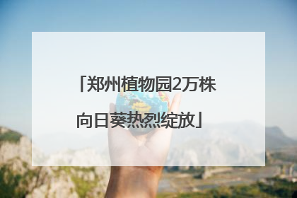 郑州植物园2万株向日葵热烈绽放