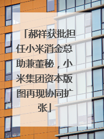 郝祥获批担任小米消金总助兼董秘，小米集团资本版图再现协同扩张