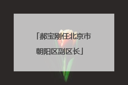 郝宝刚任北京市朝阳区副区长