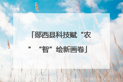 郧西县科技赋“农”“智”绘新画卷
