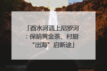 酉水河遇上尼罗河：保靖黄金茶、村厨“出海”启新途